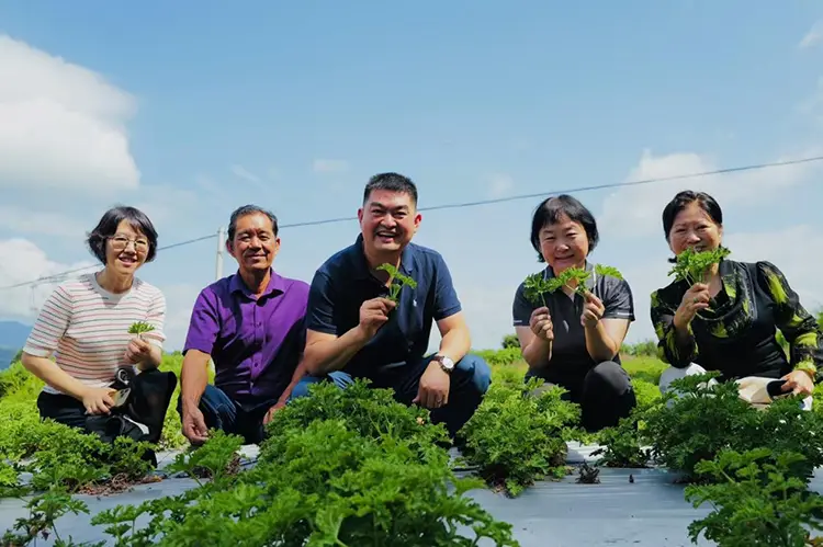 Ağustos 2025'te Odowell'in Yunnan Araştırma ve Çalışma Turu