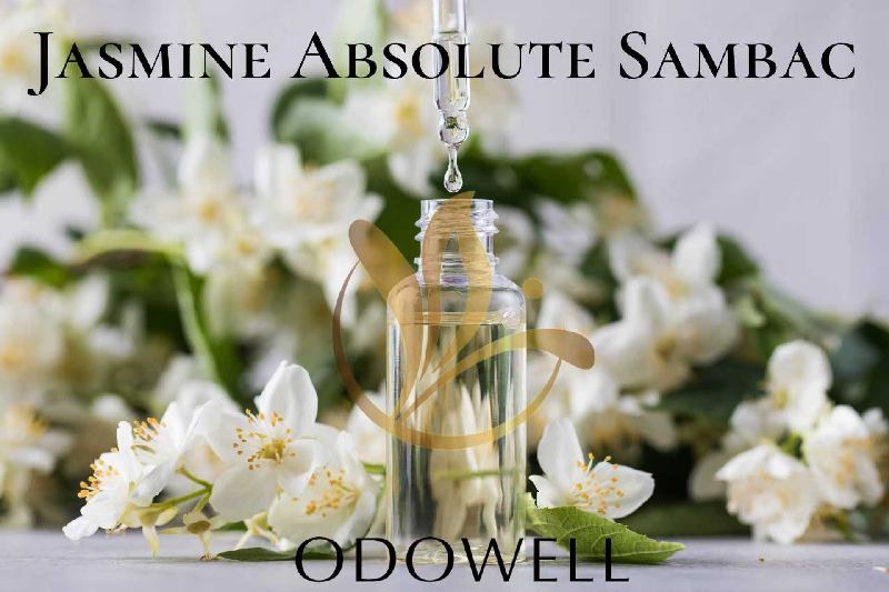 ​ODOWELL, Parfüm ve Güzellik için Birinci Sınıf Doğal Yasemin Mutlakı Jasmine Absolute Sambac'ı Piyasaya Sürüyor