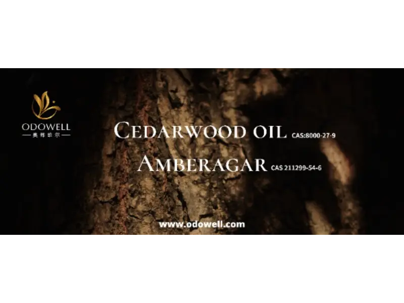 İmza Kokunuz Gerçekten Eşsiz mi?