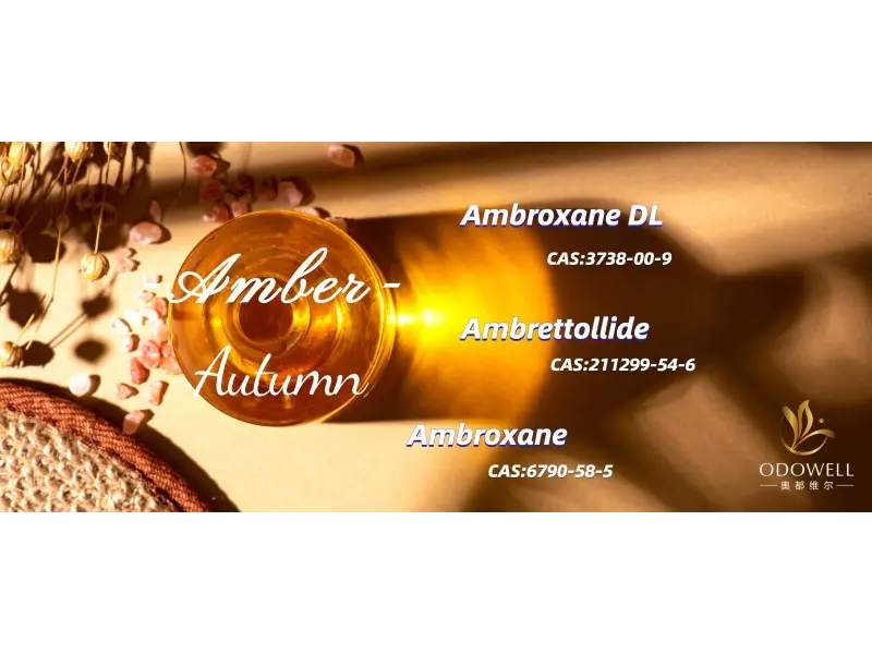 2025 Yılının En Popüler Cinsiyet Nötr Kokuları Nelerdir?