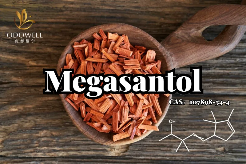 ​ODOWELL Megasantol'u Tanıtıyor: Modern Ağaçsı Koku Tasarımı için Güçlü Sentetik Sandal Ağacı İçeriği