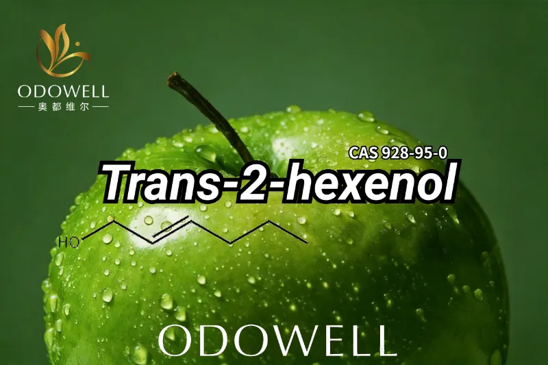 ​ODOWELL Trans-2-Heksenol'ü Tanıttı: Modern Koku Tasarımı için Taze Meyveli-Yeşil İçerik