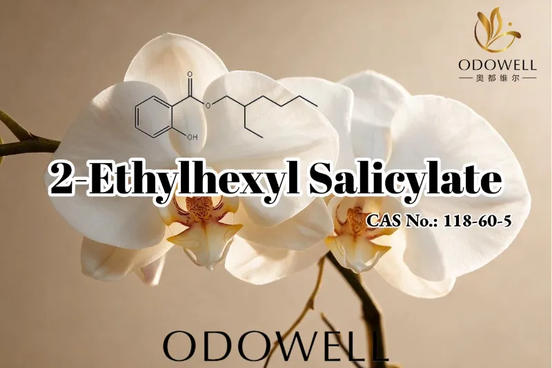 ODOWELL, Koku, Kozmetik ve Kişisel Bakım Uygulamaları için 2-Etilheksil Salisilat'ı Öneriyor