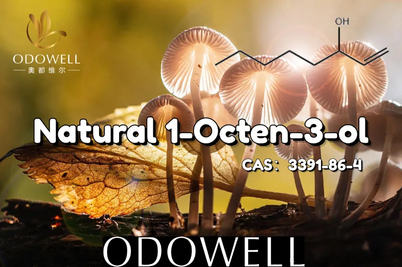 ​ODOWELL, Mantar Benzeri ve Dünyevi Aromalı Uygulamalar için Doğal 1-Octen-3-ol'u Öneriyor