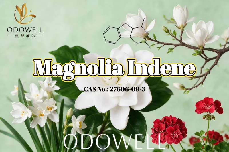 ODOWELL, Taze Çiçek-Yeşil ve Narenciye Kokusu Uygulamaları için Magnolia Indene'i Tavsiye Ediyor